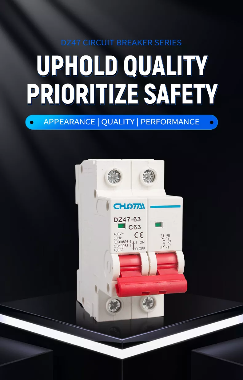 2P 63A DZ47 Miniature Circuit Breaker