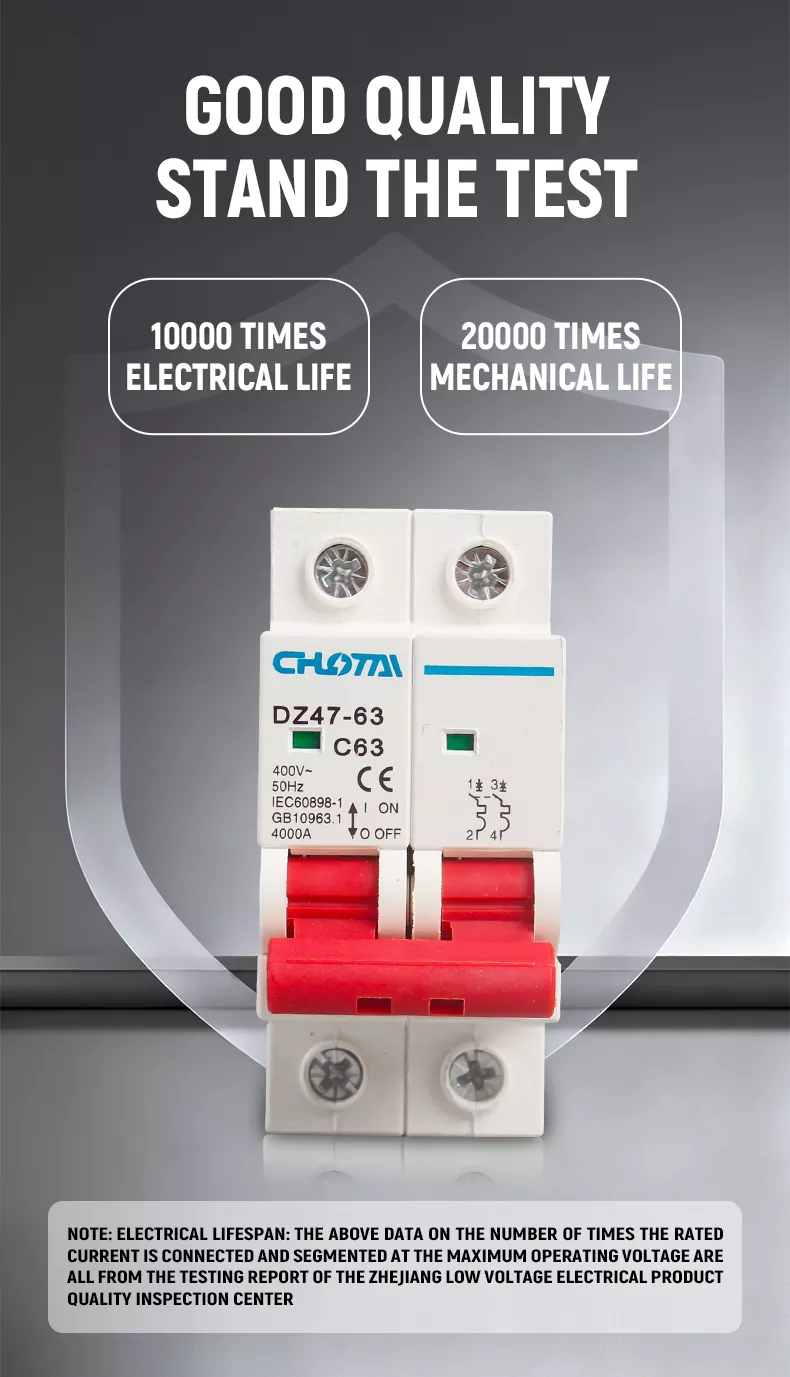 2P 63A DZ47 Miniature Circuit Breaker